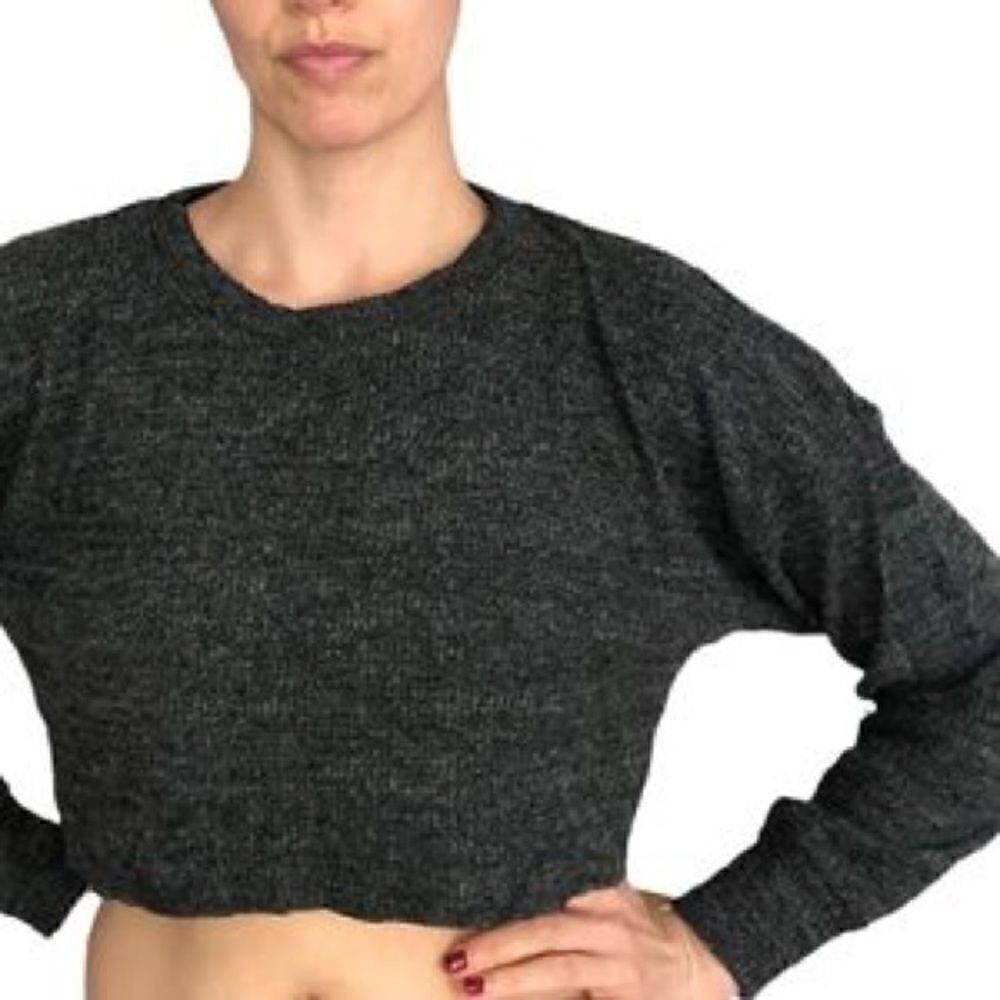 NWT Long Sleeve Crop Top